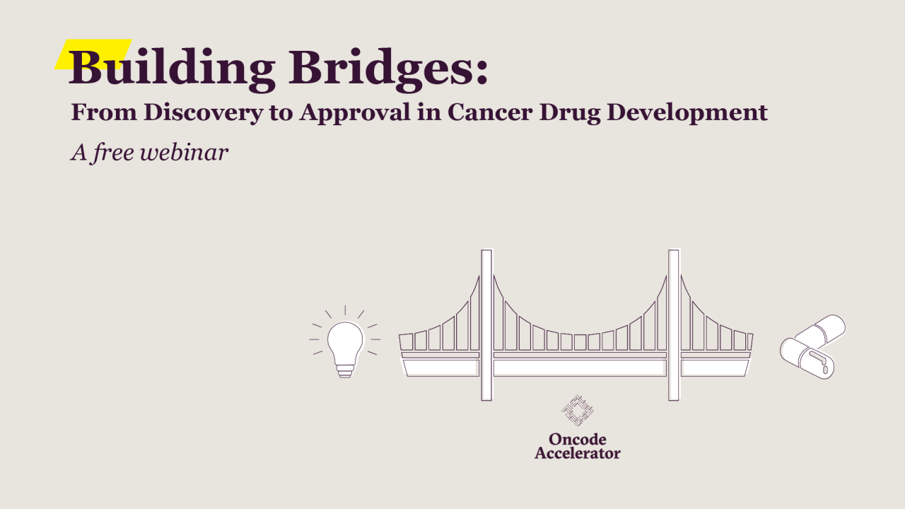 From Discovery to Approval in Cancer Drug Development Website Image
